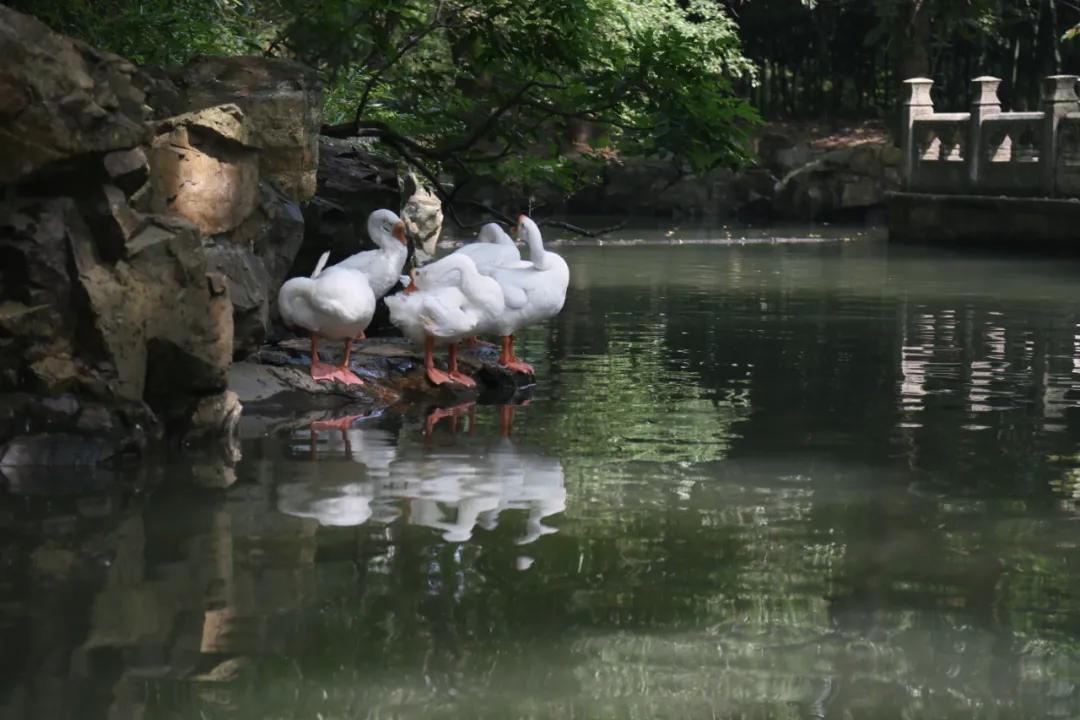 绍兴不一样的江南水乡,绍兴的江南水乡