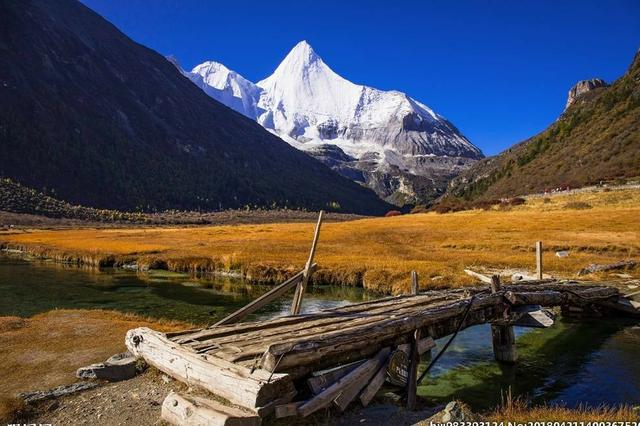 自古深情留不住唯有套路得人心gif,自古多情空余恨下一句是什么
