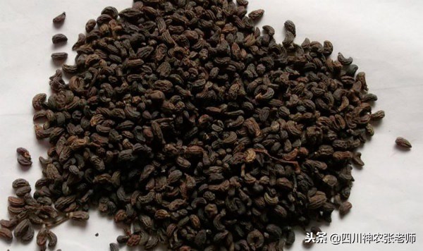 中药减肥什么配方效果好,减肥中药能减肥吗