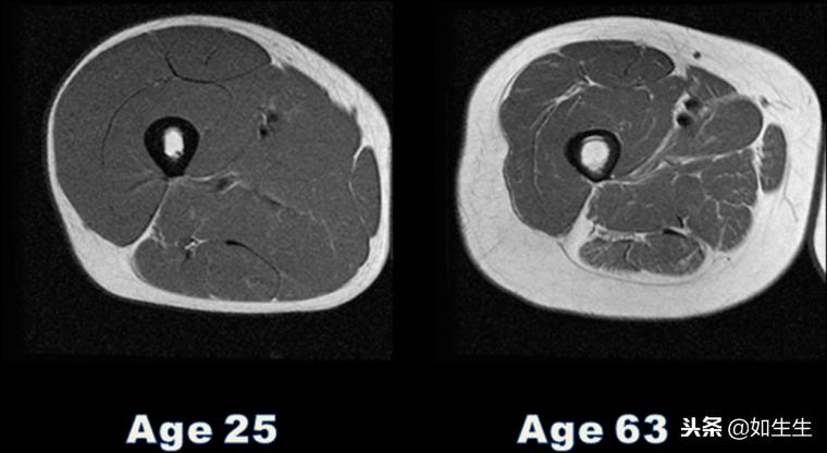 增肌怎么更好的刺激肌肉,这些东西可以帮助你越吃越瘦