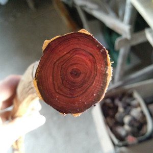 假冒的海南黄花梨,海南黄花梨原木如何鉴别真假