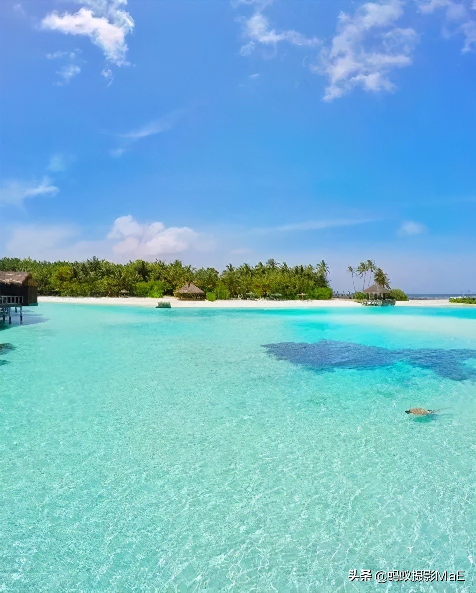 摄影大师怎么拍出高级感,摄影大师的拍摄技巧是什么