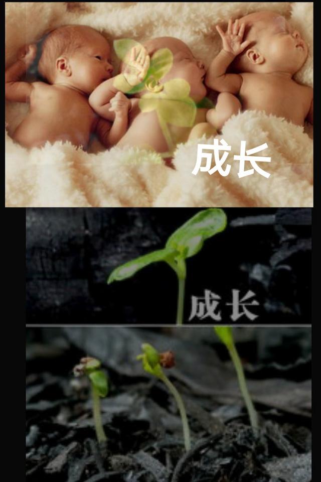 年迈父母老了身体不能自理，瘫痪在床十年之久，作为子女你怎么办