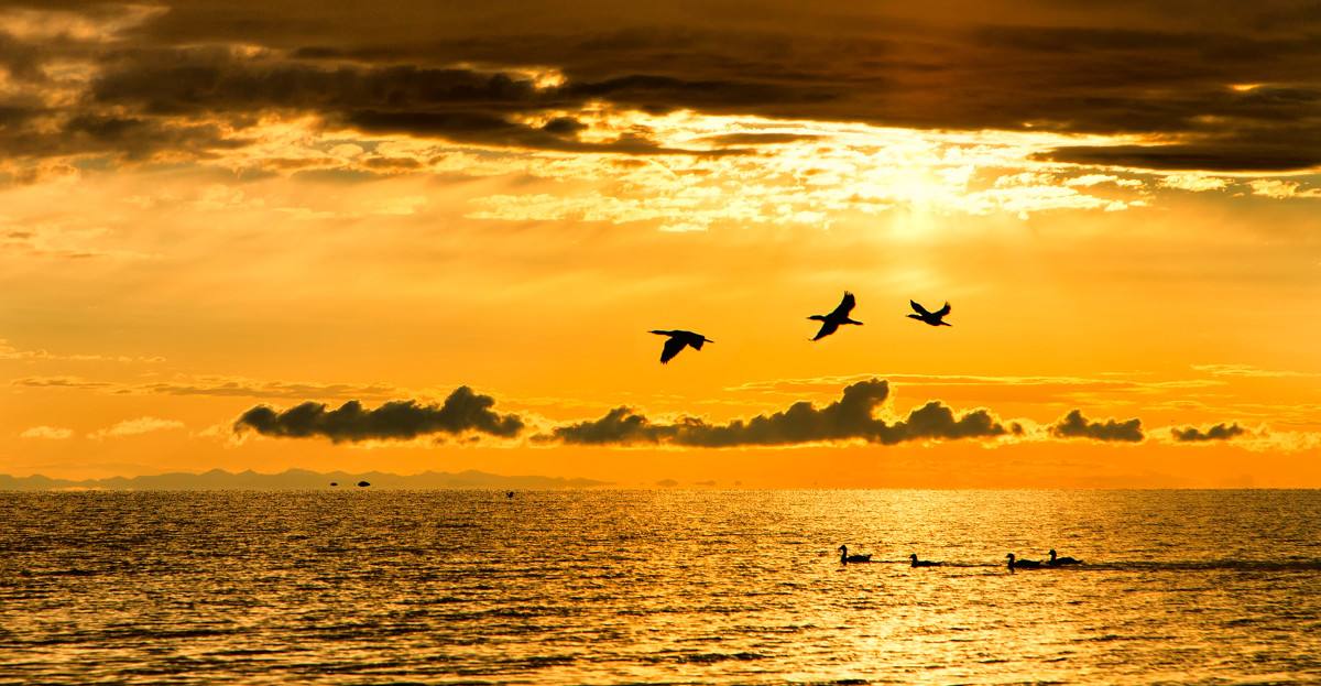 花姐姐：青春期的孩子喜欢染头发，穿奇装异服，追潮流怎么办？