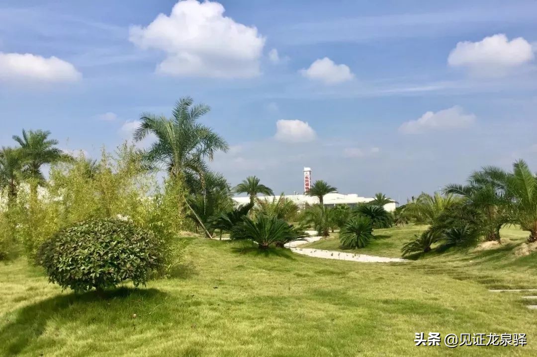 四川省NO.1！龙泉驿凭什么能获全国绿色发展百强区？背后竟藏着这样的秘密~