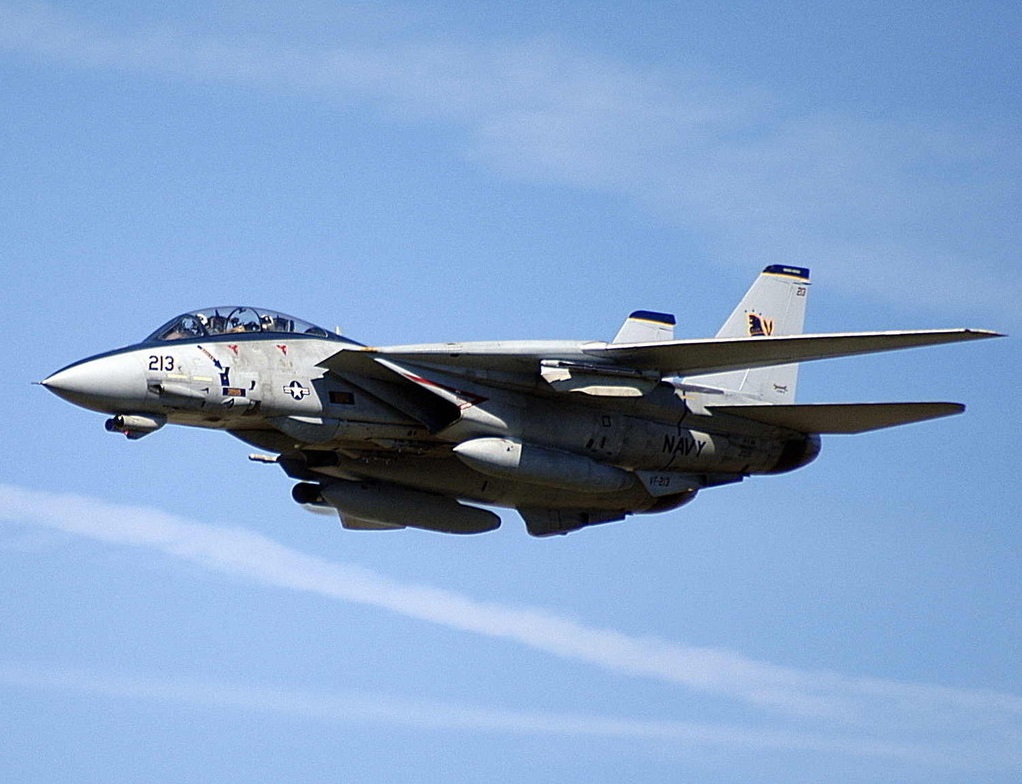 f-14熊猫战斗机全套图纸,f-14熊猫战斗机简笔画