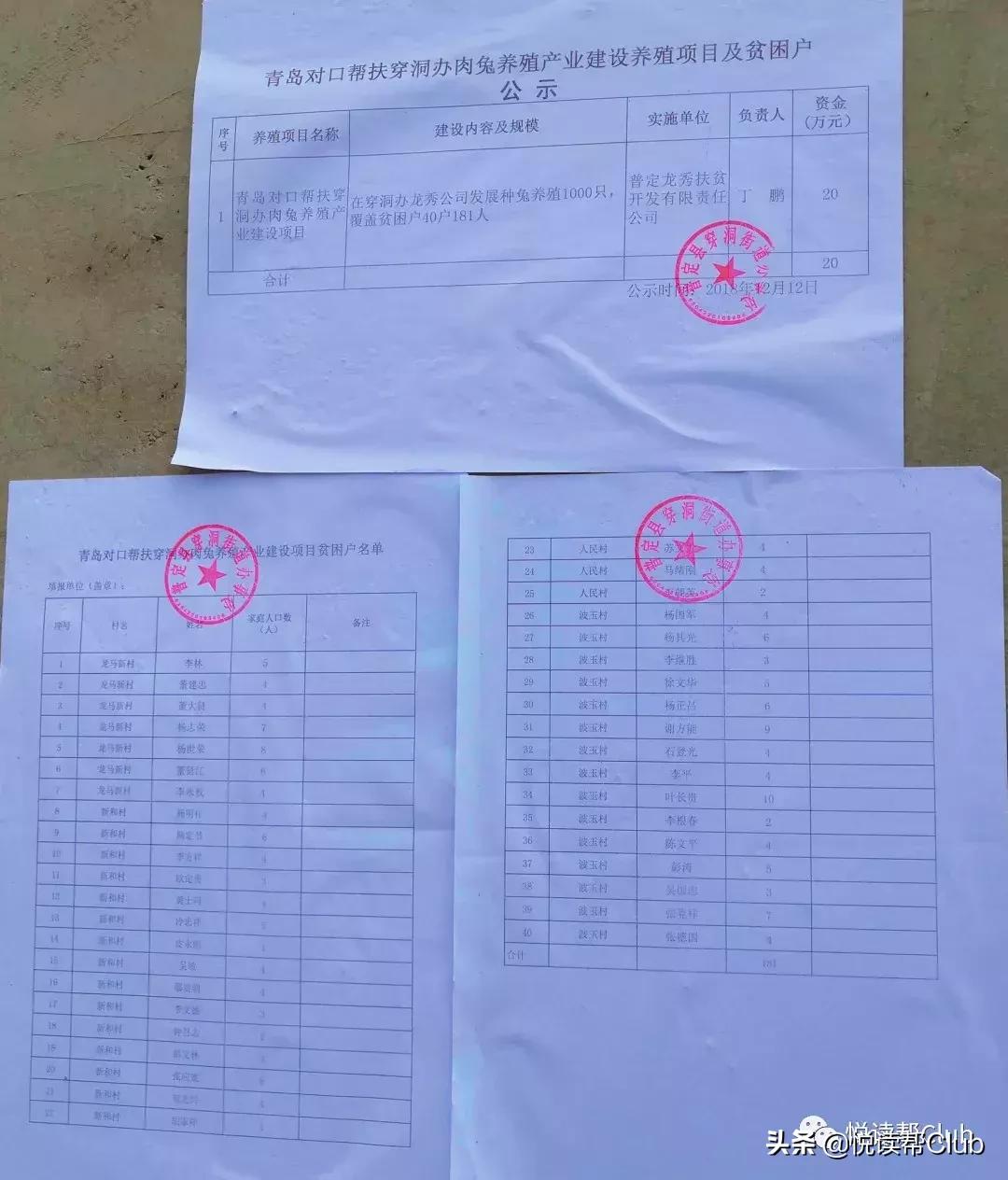 连成都人都赞不绝口的兔头空降安顺!这些兔兔还是安顺人自家养的