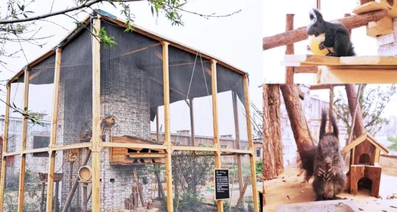 轻资产小农场,40平方小农场