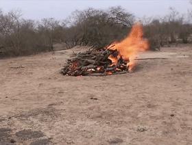 烧制木炭新技术,原始技术如何制作木炭