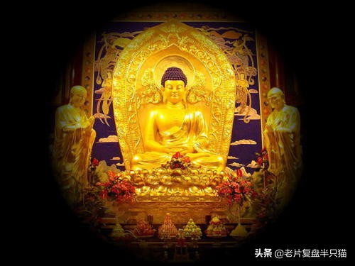 超体跟寡姐有关系吗,超体是寡姐演的吗