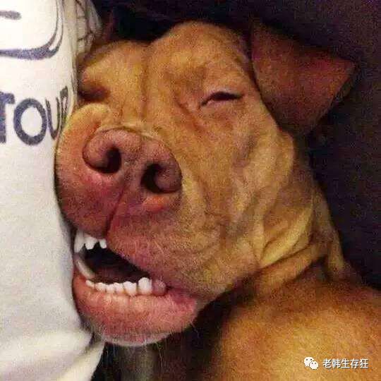 地震求生与自救技巧,生存狂在野外怎么逃生