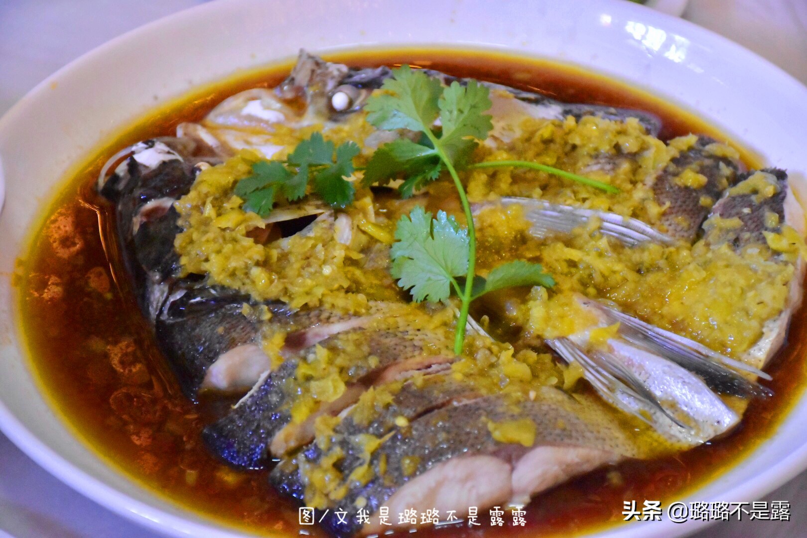 检验鱼最好的方法,怎样鉴别鱼是否是健康的