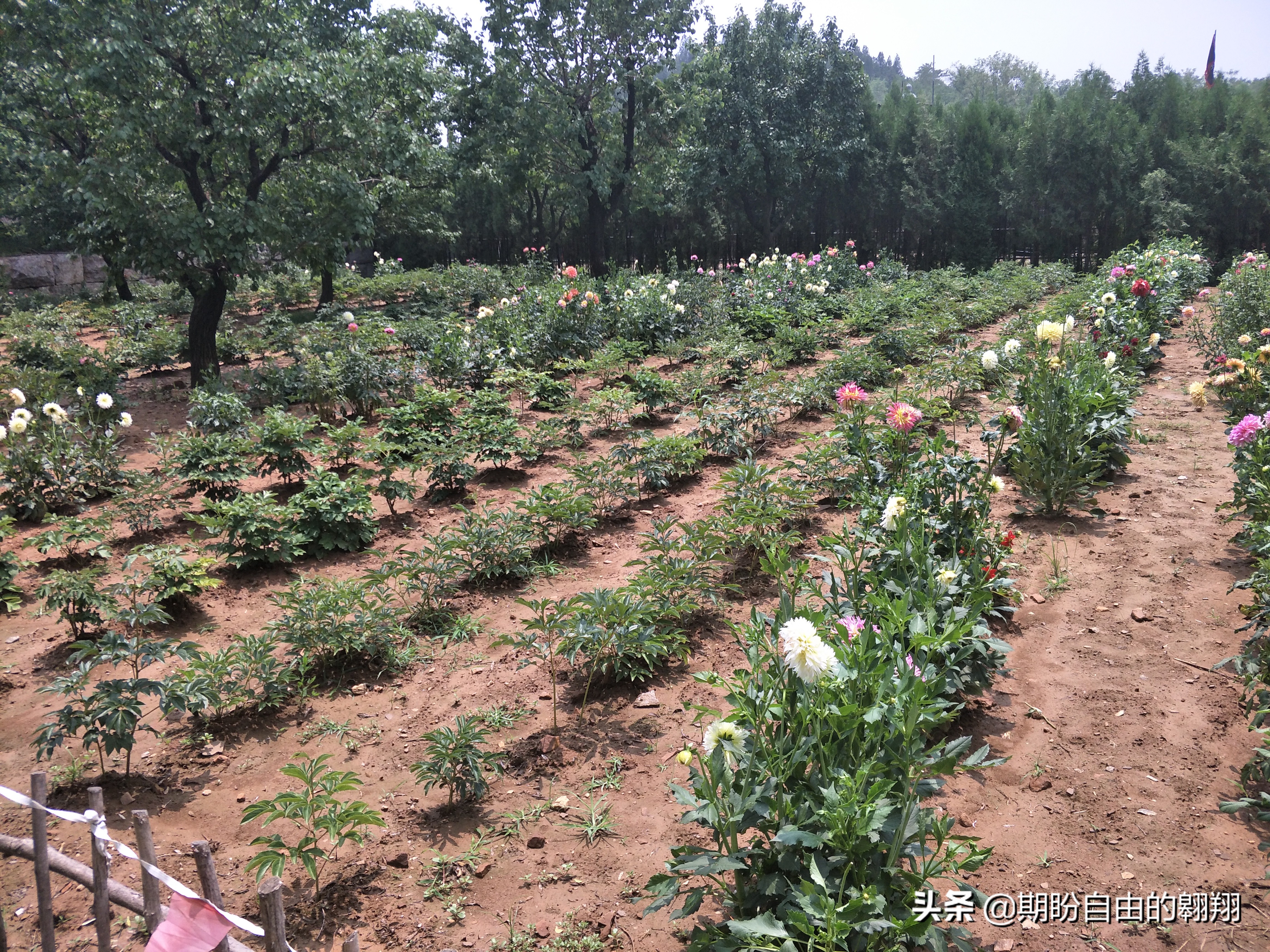 天上王城,不虚此行(附图)