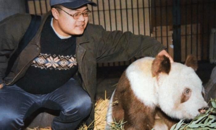 中国发现过的全球新物种,中国发现新物种