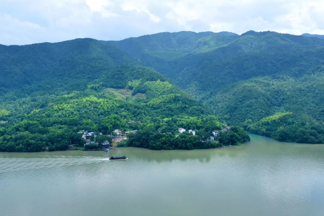 武汉大学教授唐诗宋词,武大教授讲唐诗