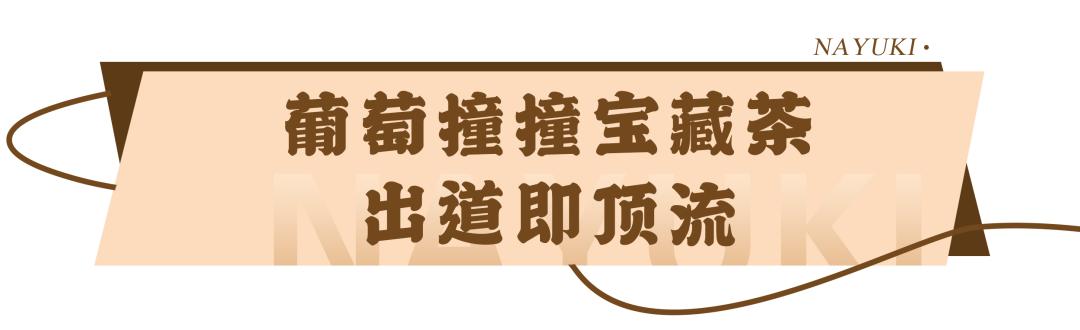 奈雪奶茶鲜果茶,奈雪奶茶推荐排行榜前十名