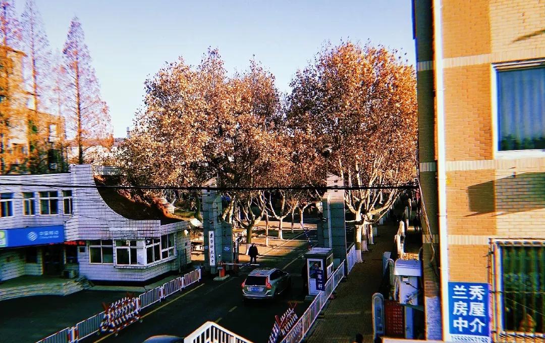 辽宁师范大学辽宁省一流课程,辽宁省普通高等院校