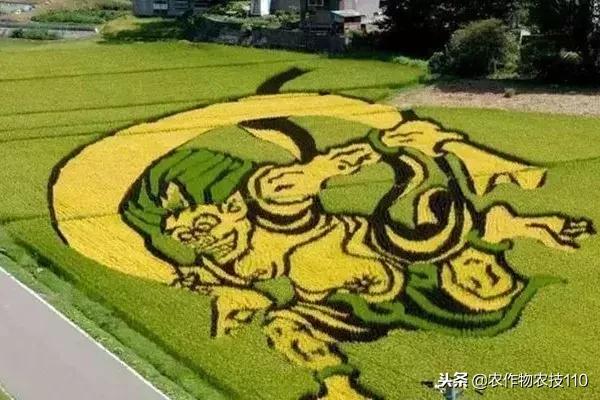 艺术与农业的饕餮盛宴,艺术与农产品结合的创新之处