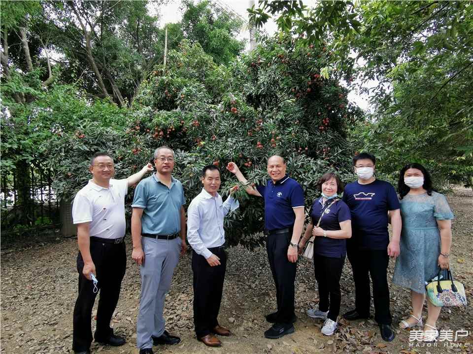 2024中国木门交流会,中国木门产品大会视频