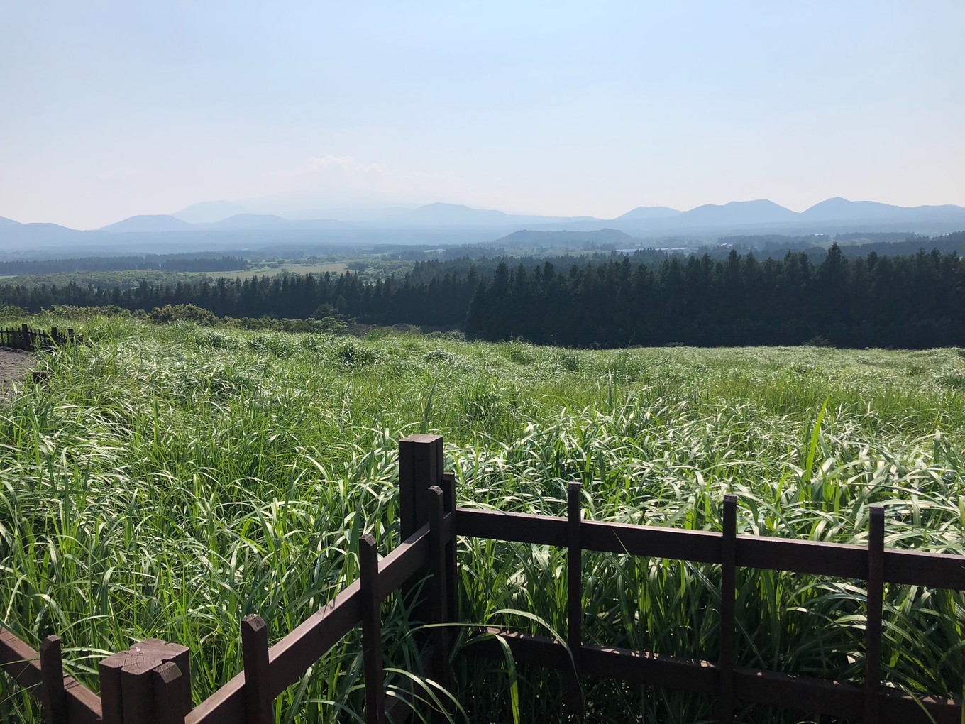 不会韩语如何去韩国玩,不会韩语怎么去韩国旅游