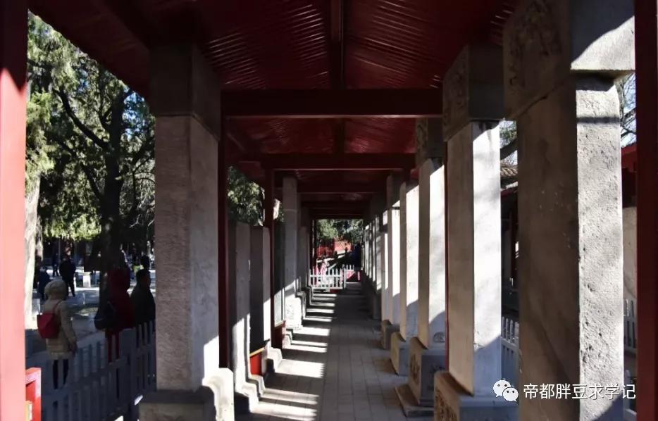 昨天刚沾了文曲星“仙气”儿,这两天学习效果就拉满了