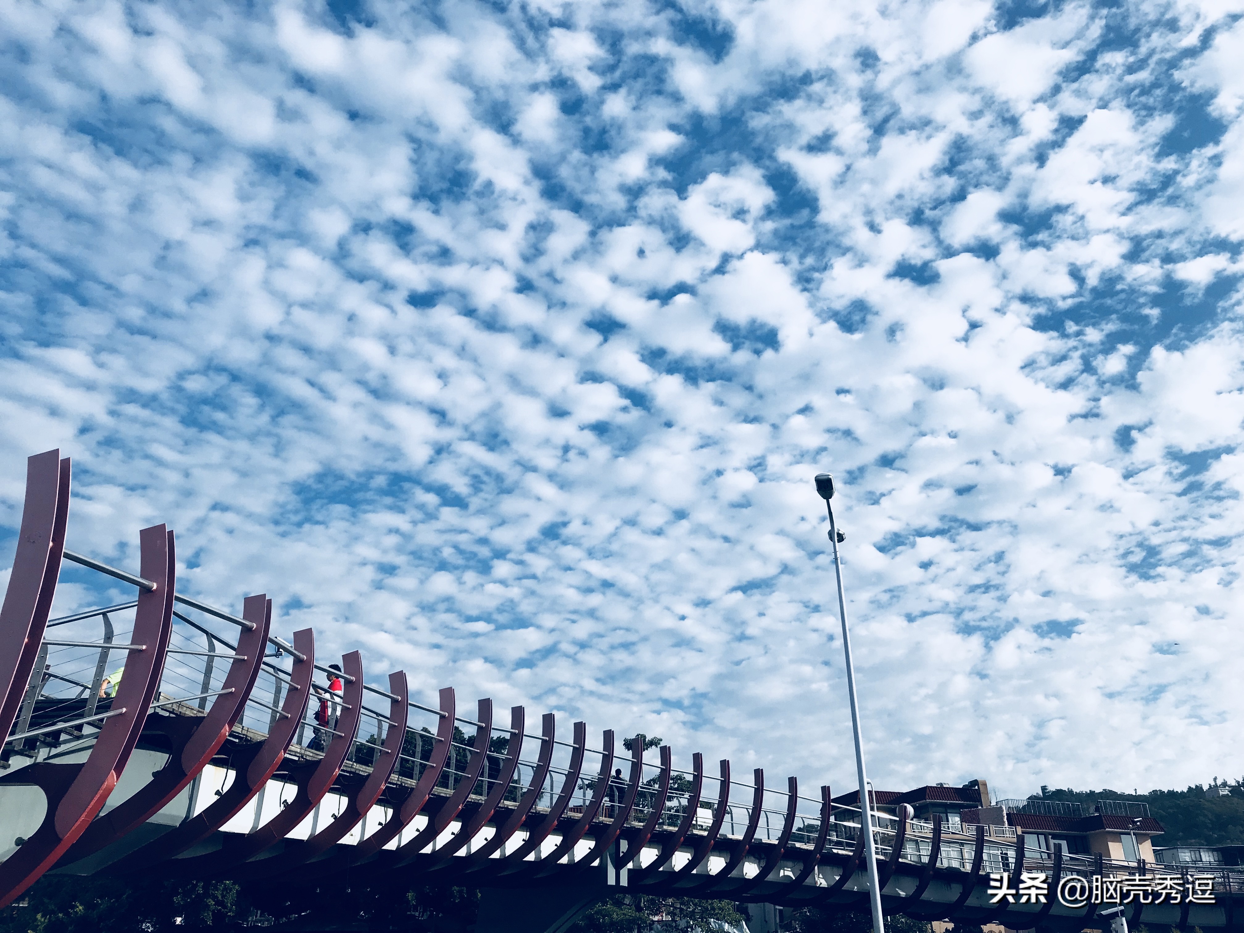 厦门四天自由行攻略最详细,厦门自由行攻略5天详细