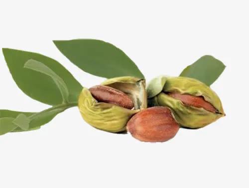 基础油怎么配最好,基础油和精油有什么区别