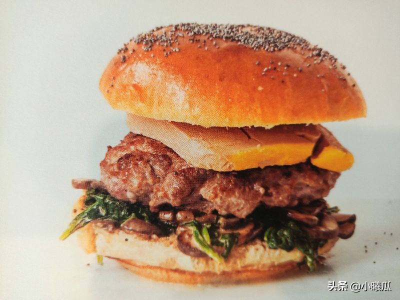 汉堡包是健康食品还是垃圾食品,汉堡包是不是有害食品