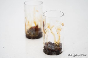 自制珍珠奶茶里面的珍珠正确做法,自制珍珠奶茶有珍珠也有奶茶粉