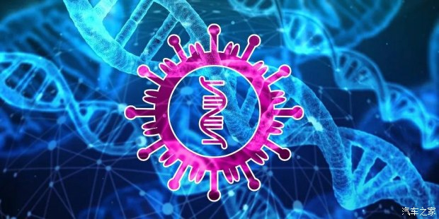 修行是最好解脱前路漫漫山猫不负一生