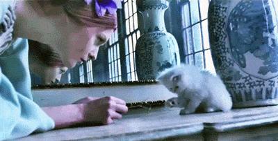 kiss是亲，ass是屁股，但kissherass可不是“kiss她屁股”