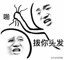 日本猕猴成功开启治疗头秃的大门,麻麻再也不用担心我的头发!