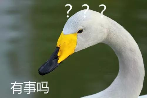 高新区网红小区价格,网红楼盘城东热销楼盘