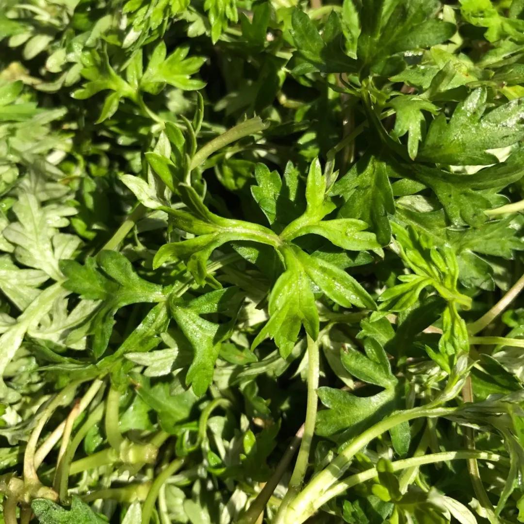 台州又能吃又能玩,你可以说不好吃但不能说分量少