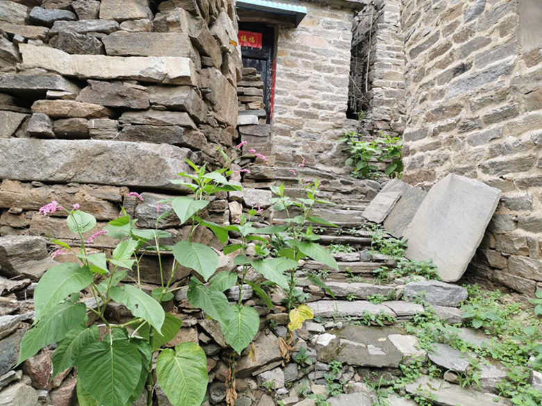 隐藏在大山的民宿酒店,最便宜的民宿客栈价格