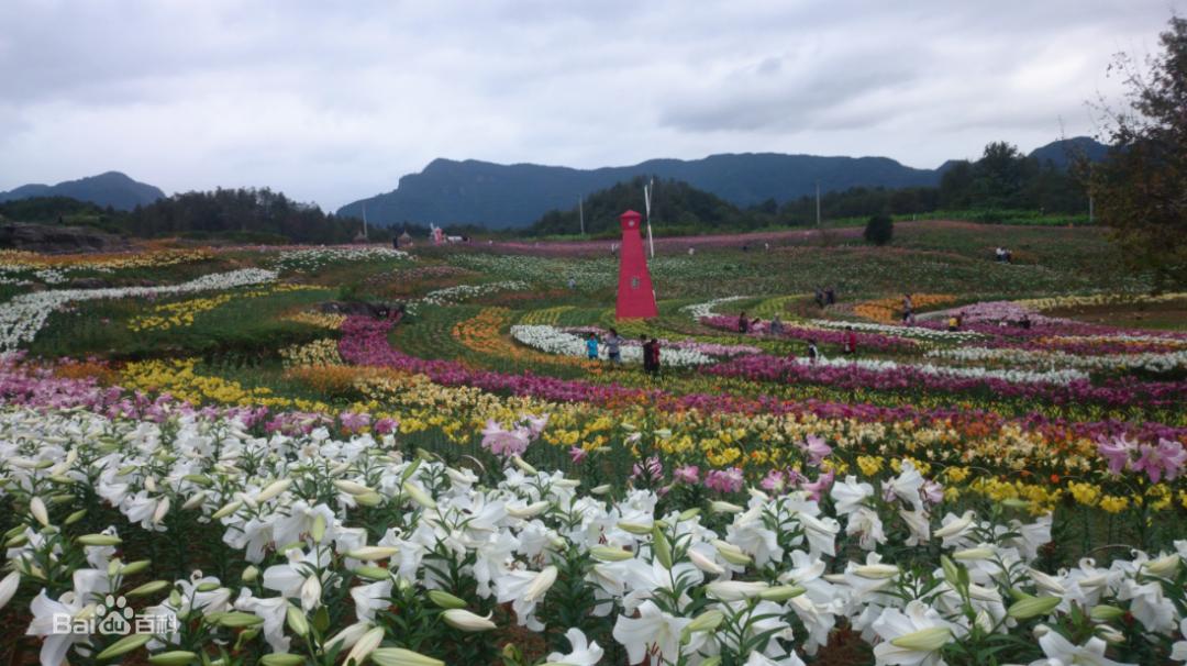 西递石林景区里有哪些项目,西递石林景区历史