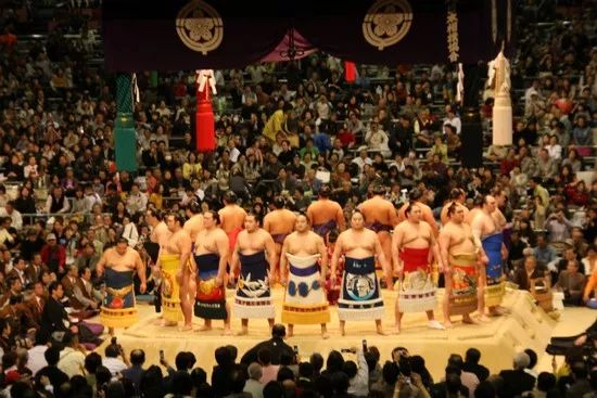 为什么日本人喜欢看两个胖胖“打架”？