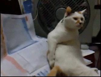 洪水之后需要注意的地方,洪水容易造成什么皮肤病