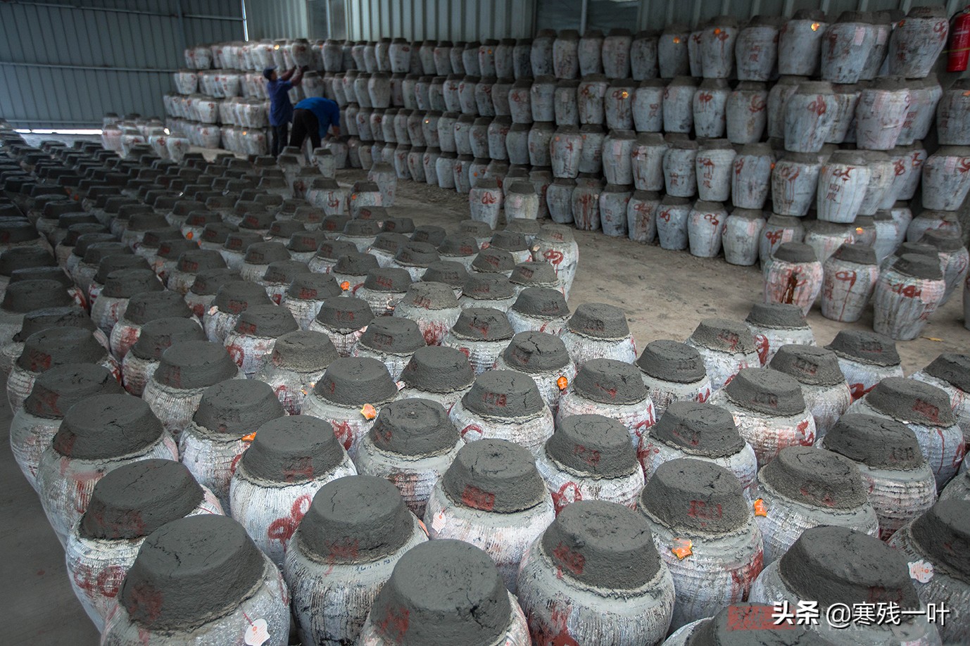 酒厂酿酒技术大全,台州酒厂手酿酒