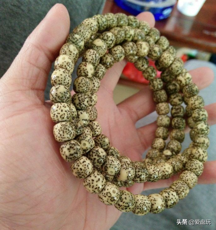 一条星月菩提多少钱,全网最高性价比的星月菩提