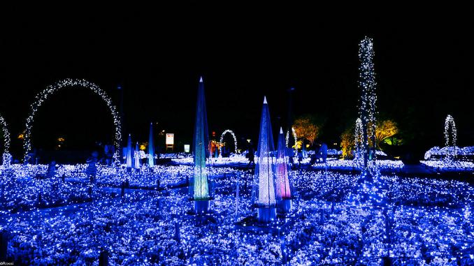 东京旅行性价比最高的酒店,东京旅游性价比高的酒店