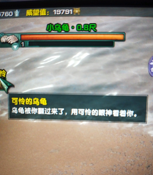 剑网3世外蓬莱和哪个区合区了,剑网三2022年蓬莱pvp攻略