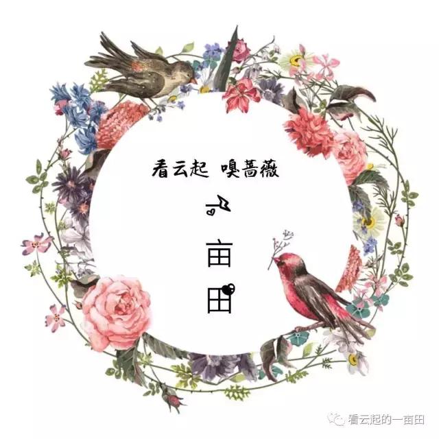 小人书《马兰花》：小时候最大的梦想，是拥有一朵马兰花