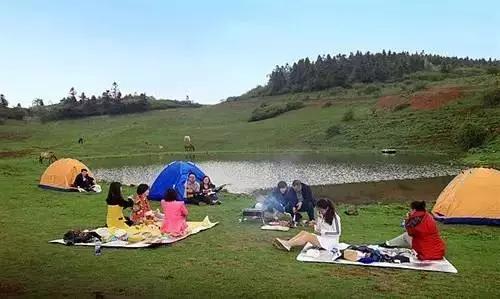 昆明周边适合露营的森林,昆明附近露营风景好