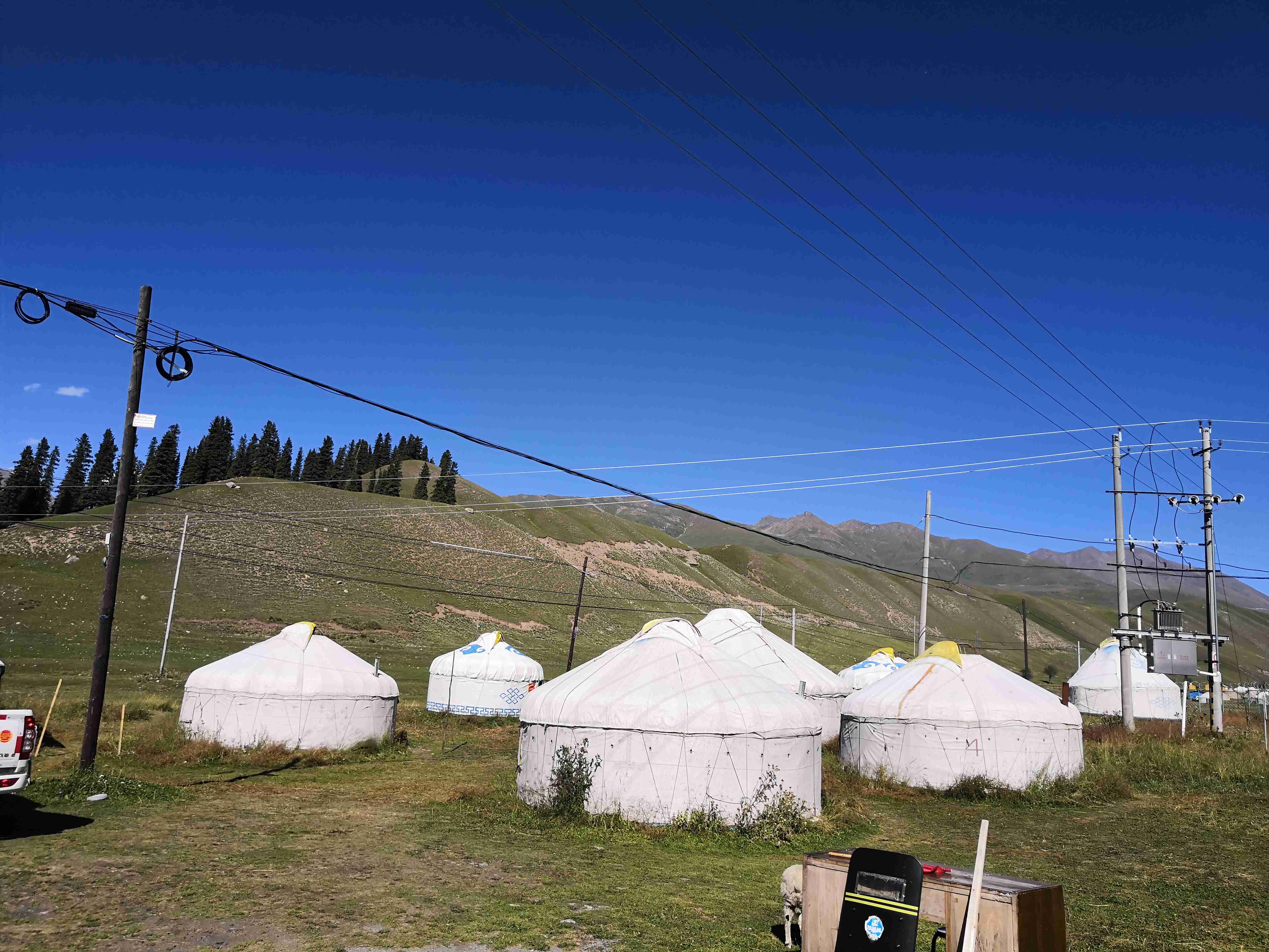 *疆新**蒙古包旅店老板,看他一天的收入多少,一个月就抵我一年工资
