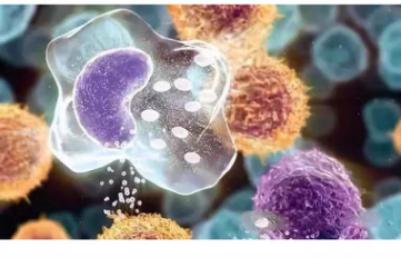 安耐晒防晒霜防过敏,安耐晒防晒国产