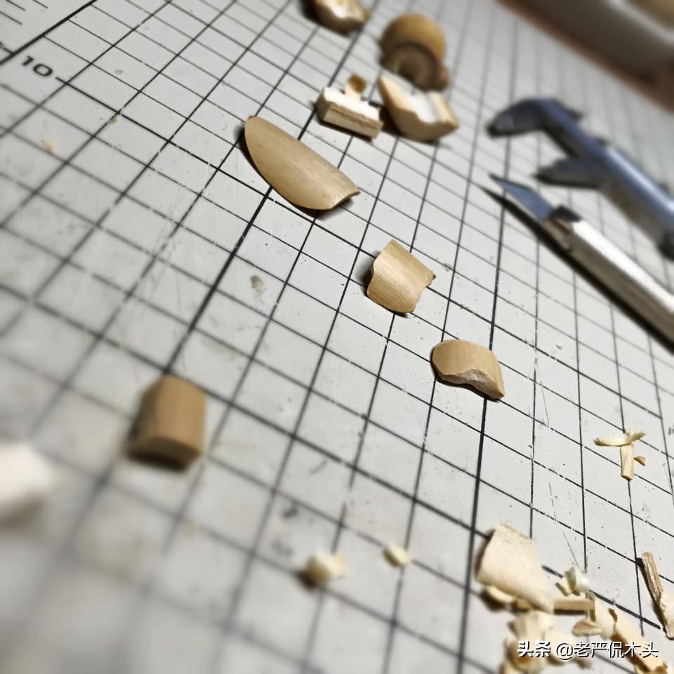 昆虫标本树脂竹节虫,昆虫标本制作竹节虫