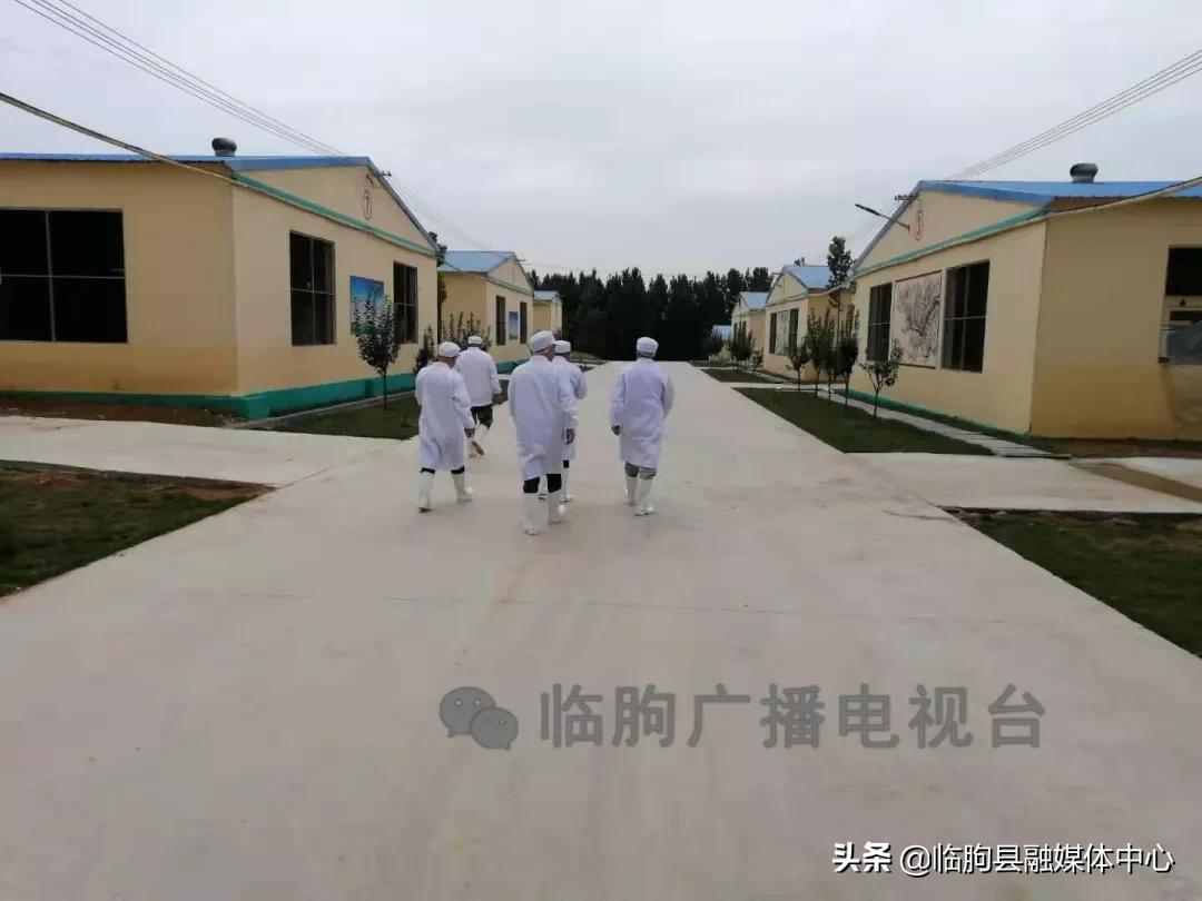 “绿满城乡·秀美临朐”系列报道（八）蒋峪镇篇：勇立潮头迎风起水墨蒋峪谱新篇