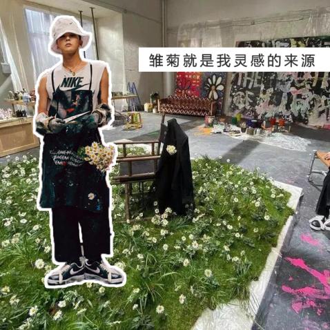 小雏菊不好的寓意,小雏菊为啥不吉利