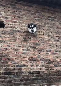 买了个保温杯,结果里面塞满了口红,这是买到假货了?